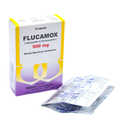 Flucamox Capsules 500mg